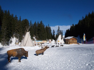 Preparation saison 2010 piste des indiens bison cibles 3d